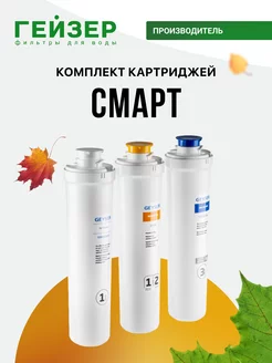 Комплект картриджей Смарт, 3 шт, 50105 ГЕЙЗЕР 187345815 купить за 2 205 ₽ в интернет-магазине Wildberries