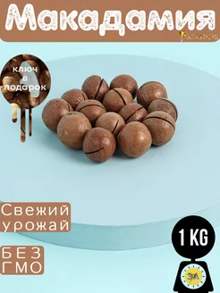 Макадамия в скорлупе 1 кг, здоровое питание, 3а калибр Nut-foods 187345881 купить за 566 ₽ в интернет-магазине Wildberries