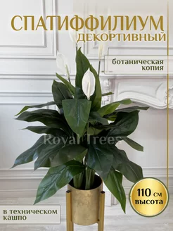 Искусственные цветы Спатифиллум 110 см Royal Trees 187887892 купить за 6 781 ₽ в интернет-магазине Wildberries