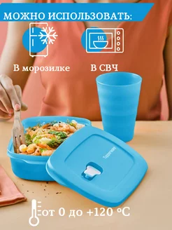 Контейнер для разогрева 1л Емкость "Новая волна" Tupperware 187923716 купить за 1 299 ₽ в интернет-магазине Wildberries