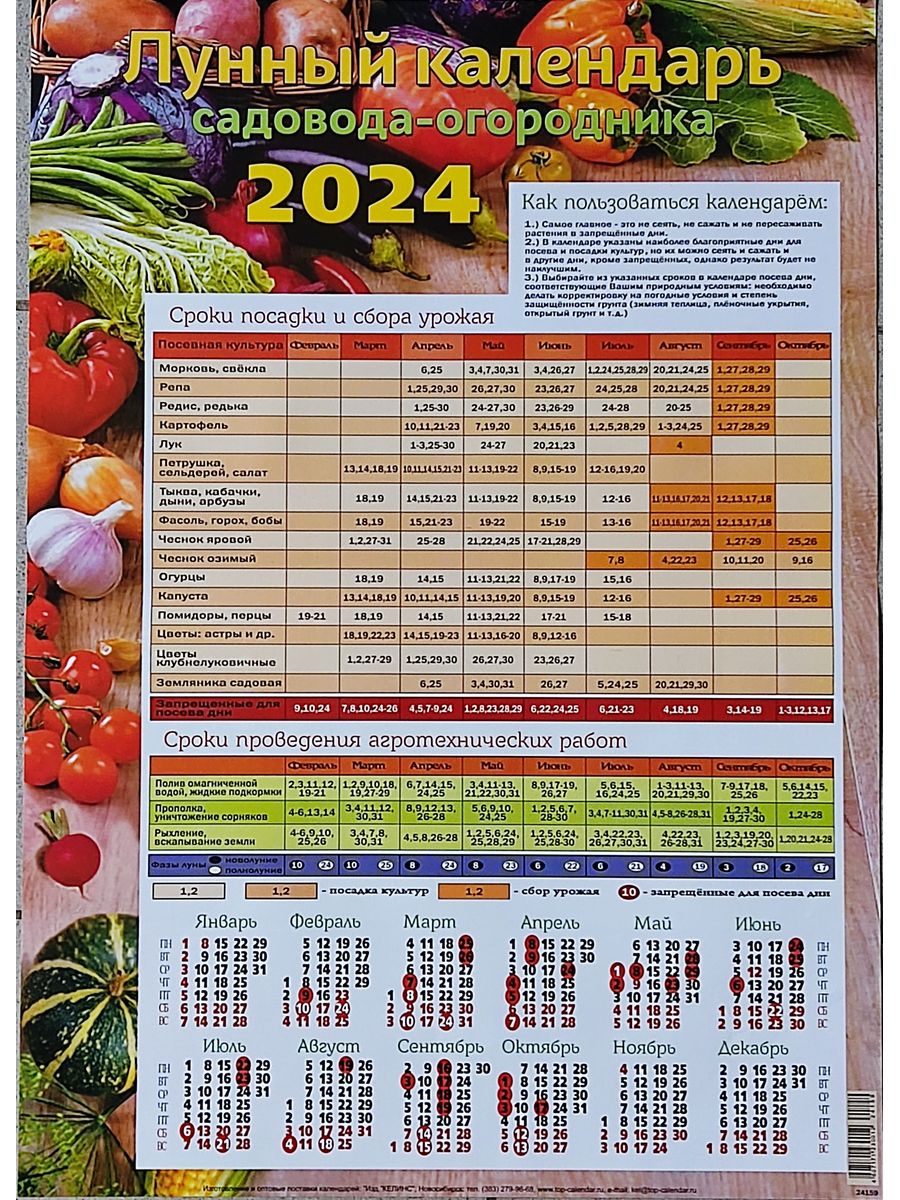 Садово огородный лунный календарь на 2024 август. Лунный календарь на 2024г огородника садовода. Календарь листовой 2024. Календарь 2024 огородный.