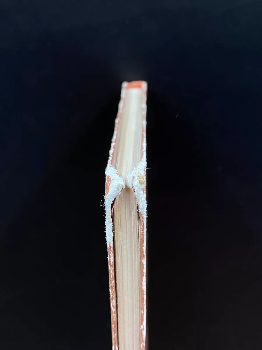 Фото 3