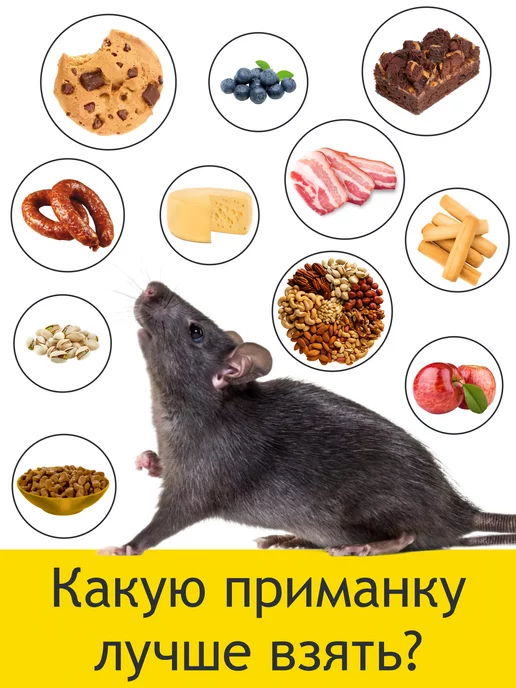 Планета Садовод Мышеловка для мышей пластиковая 10 шт, вариант, фото 6