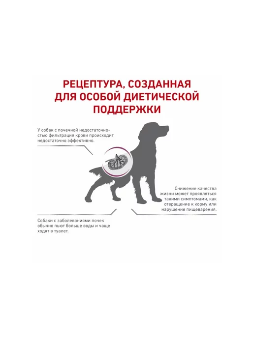 Сухой корм Royal canin Renal Лечение для собак, 2 кг, фото 3