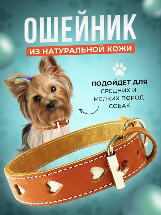 Zelie pets Ошейник для собак мелких и средних пород и кошек из кожи