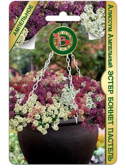 Алиссум Эстер Боннет Пастель, 40 шт Биотехника 188186989 купить за 136 ₽ в интернет-магазине Wildberries