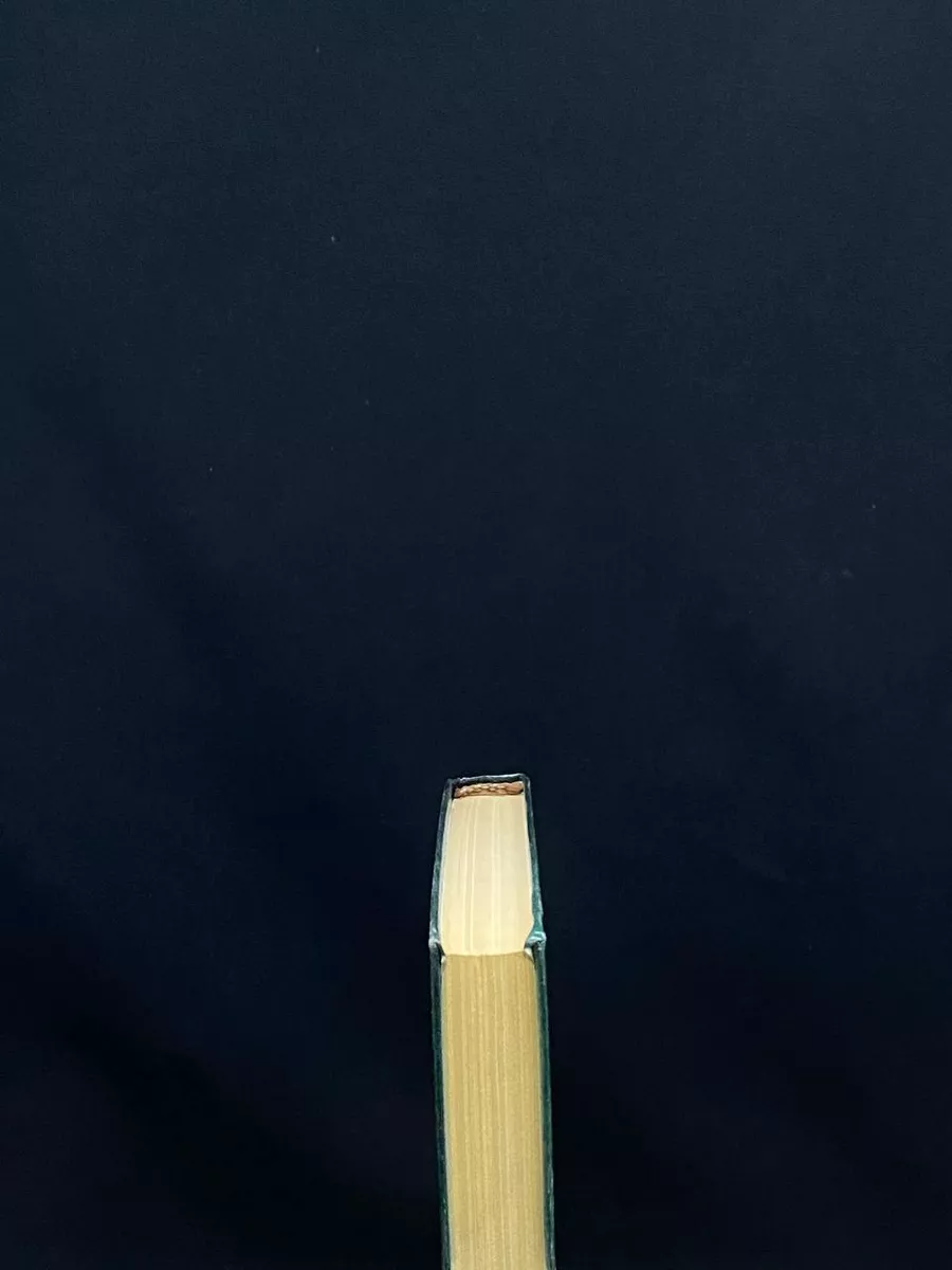 Фото 3
