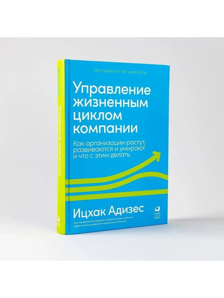 Управление жизненным циклом компании: Как организации растут