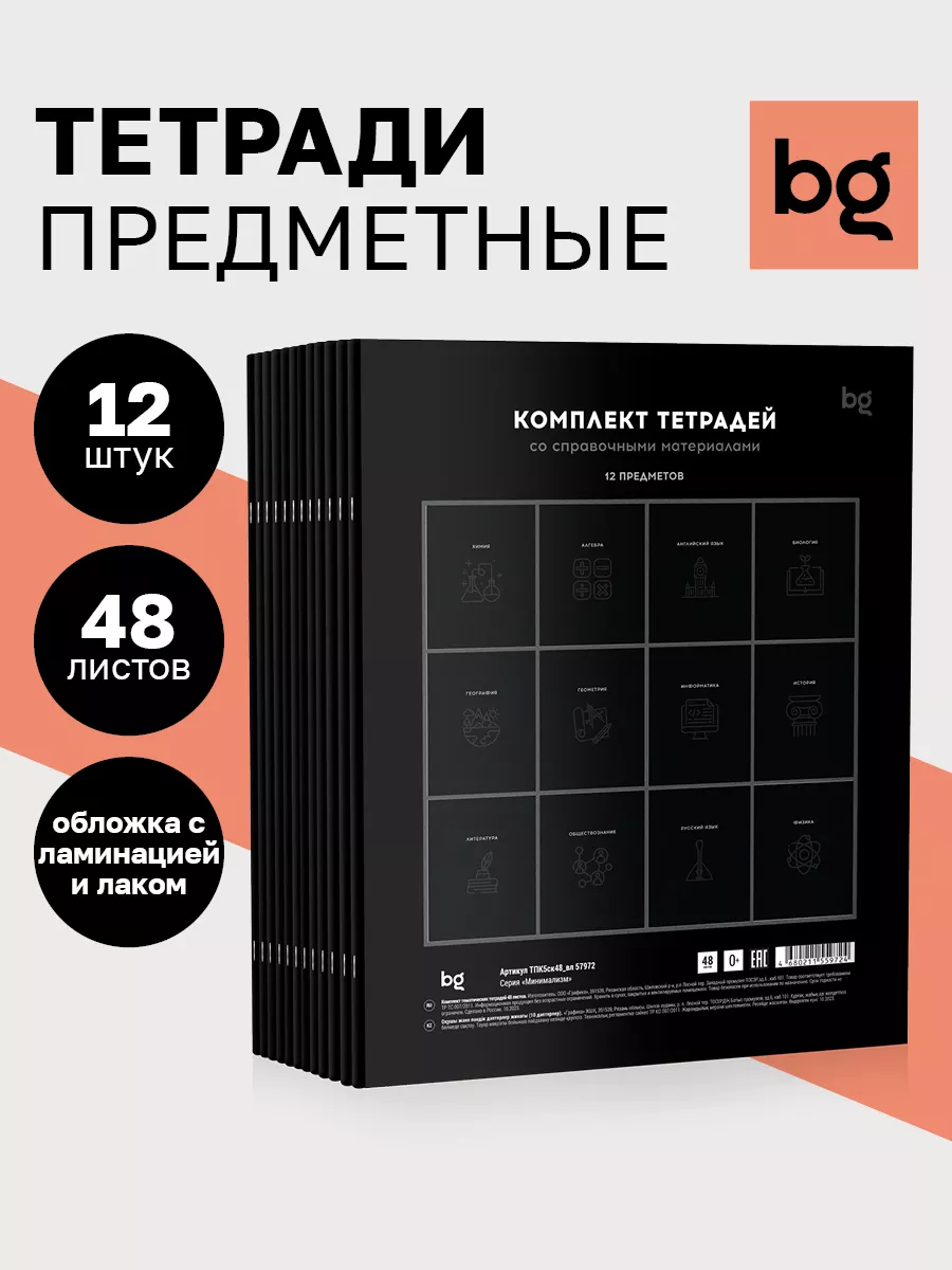 Тетради предметные, 48 листов, 12 предметов BG 188231132 купить за 704 ₽ в  интернет-магазине Wildberries