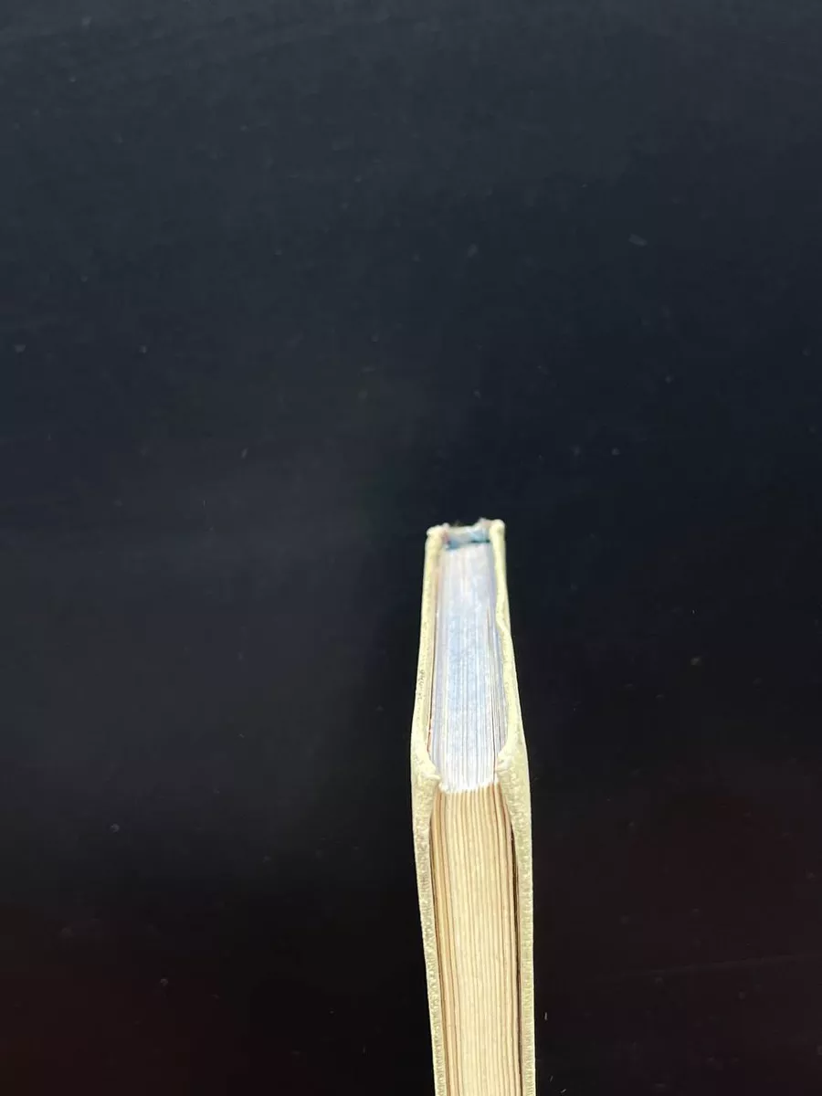 Фото 4