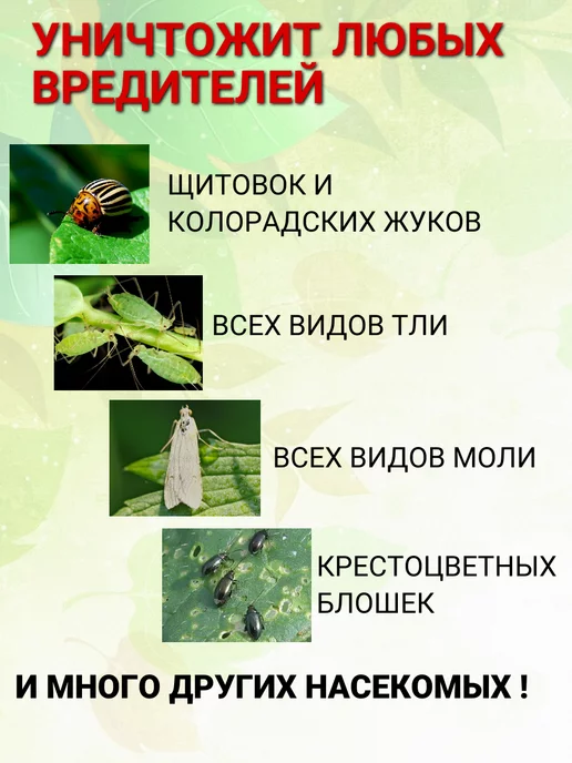 Благодатное земледелие Батрайдер для защиты растений от всех вредителей 10 мл, 10 мл, фото 2