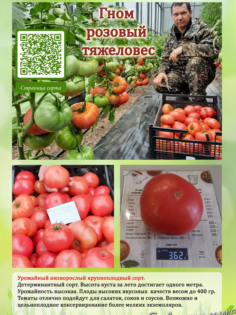 Проверенные семена от Медведевых Урожай томатов в открытом грунте