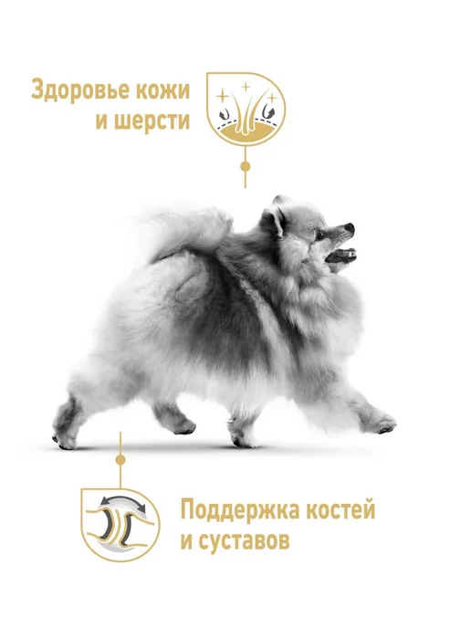Сухой корм Royal canin Померанского Шпица для собак, взрослые, 0,5 кг, фото 5