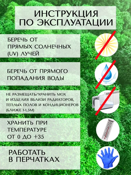 Планета Флористики Мох стабилизированный ягель декоративный для озеленения, вариант, фото 5