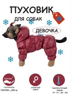 Зимний комбинезон для собак пуховик DOGMODA 188563893 купить за 1 992 ₽ в интернет-магазине Wildberries