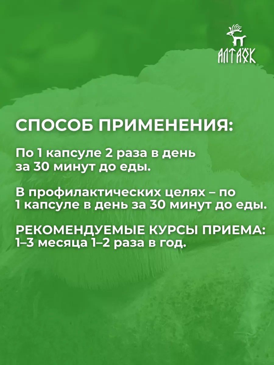 БАД Ежовик гребенчатый с Гинкго билоба ноотроп Алтаёк 188579371 купить за  609 ₽ в интернет-магазине Wildberries