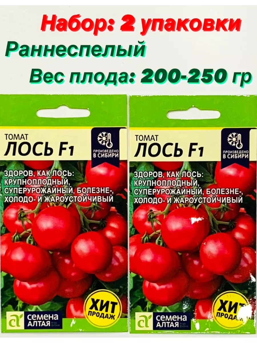Томат Лось F1 Отзывы Фото