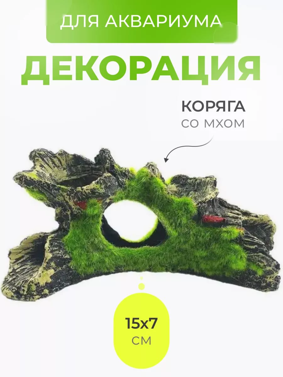Коряга декор для аквариума со мхом