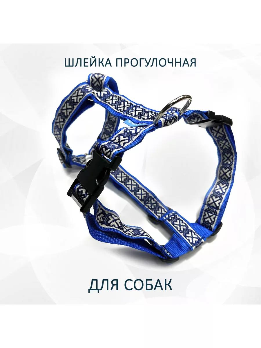 Шлейка прогулочная для собак totemica "Синий дракон"