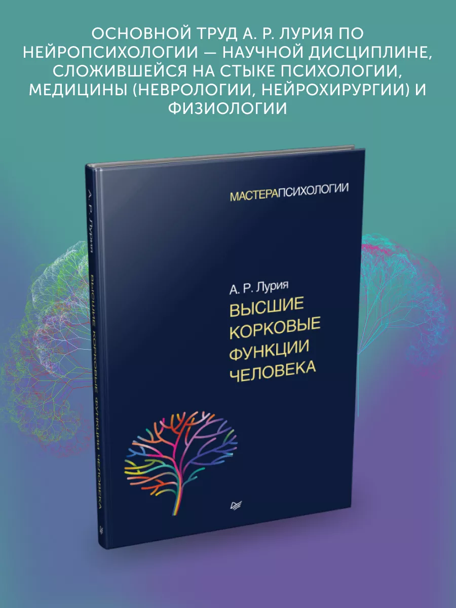 Книга по психологии Высшие корковые функции человека ПИТЕР 188642585 купить  в интернет-магазине Wildberries