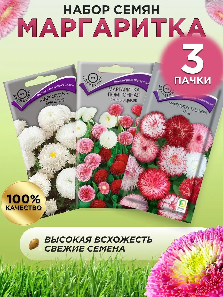 Маргаритка (3 уп.) семена цветов 188690348 купить в интернет-магазине  Wildberries