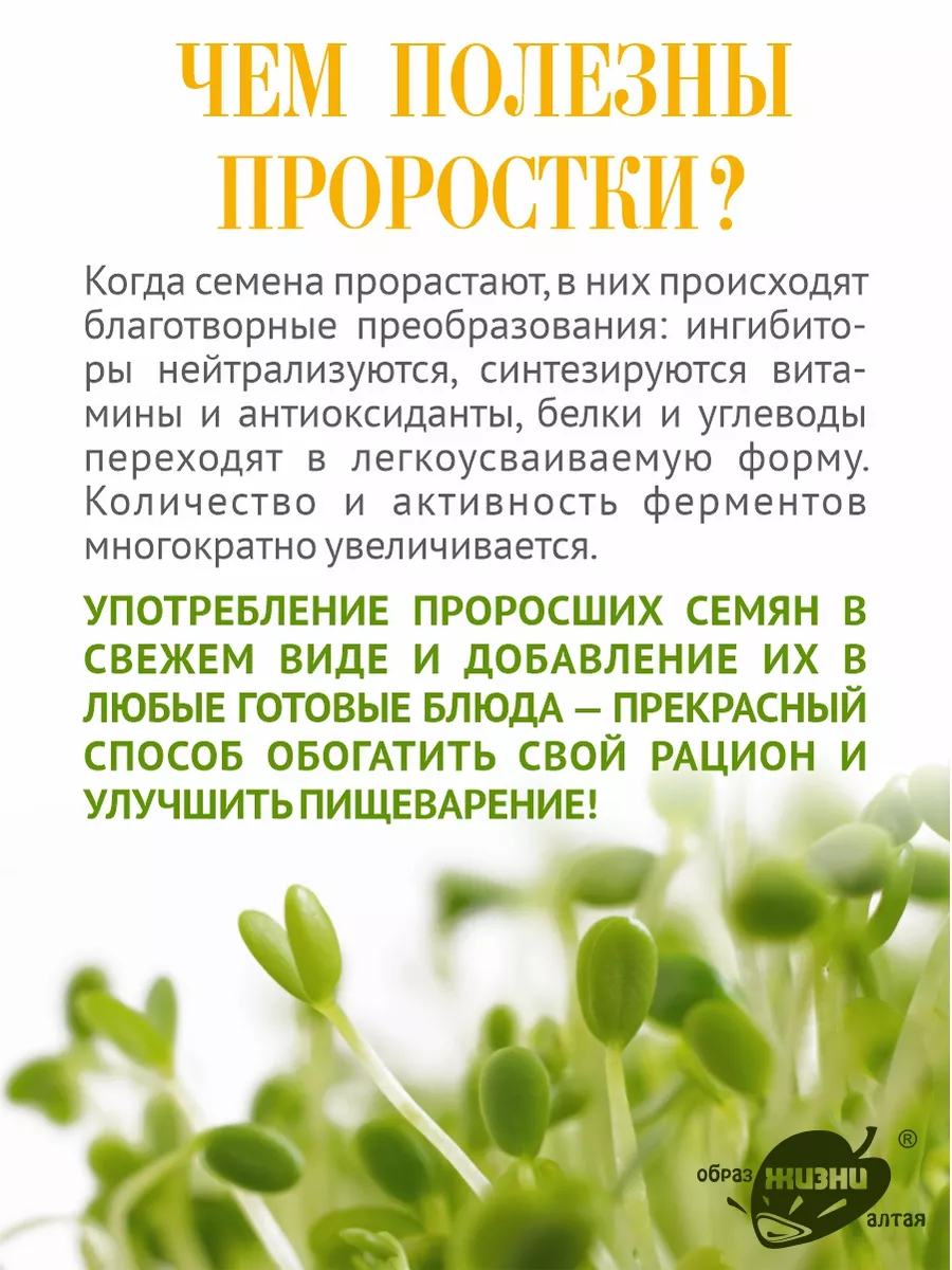 Гречка зеленая алтайская для каш и проращивания, 3 кг Образ жизни Алтая  188705935 купить за 388 ₽ в интернет-магазине Wildberries