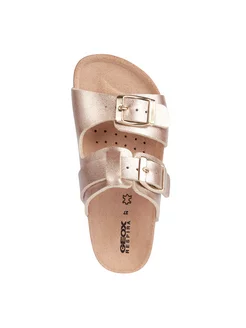 {{alt}} Вид {{data}}.