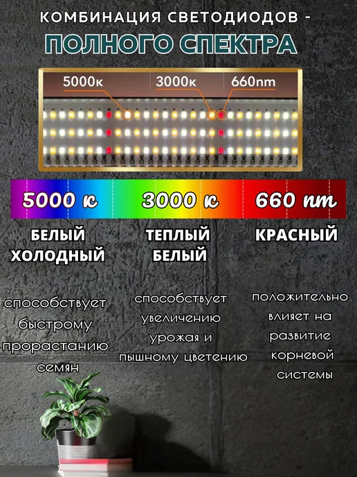 Эвтюмия Фитолампа для растений и рассады на прищепке, вариант, фото 2