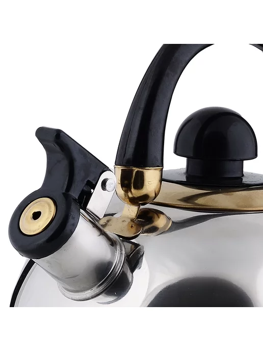 Чайник со свистком 2,5 л - фото 2