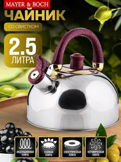 Чайник со свистком для плиты 2,5 л