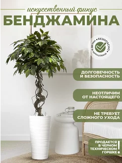 Фикус бенджамина Mriya Fleur 188804372 купить за 6 375 ₽ в интернет-магазине Wildberries