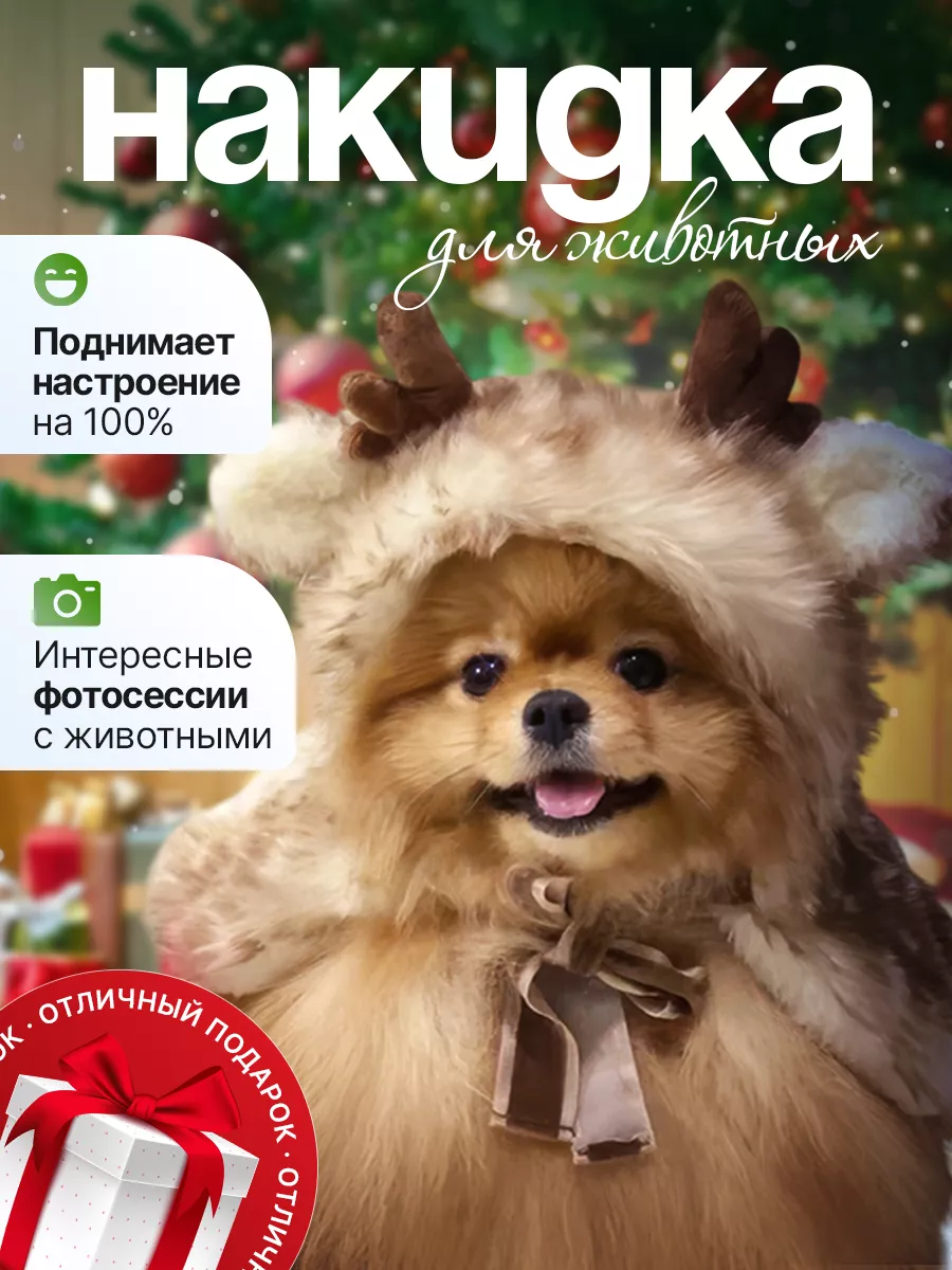 Самый удобный новогодний костюм для собак и кошек - воротничок! » Dogland - Одежда для Собак