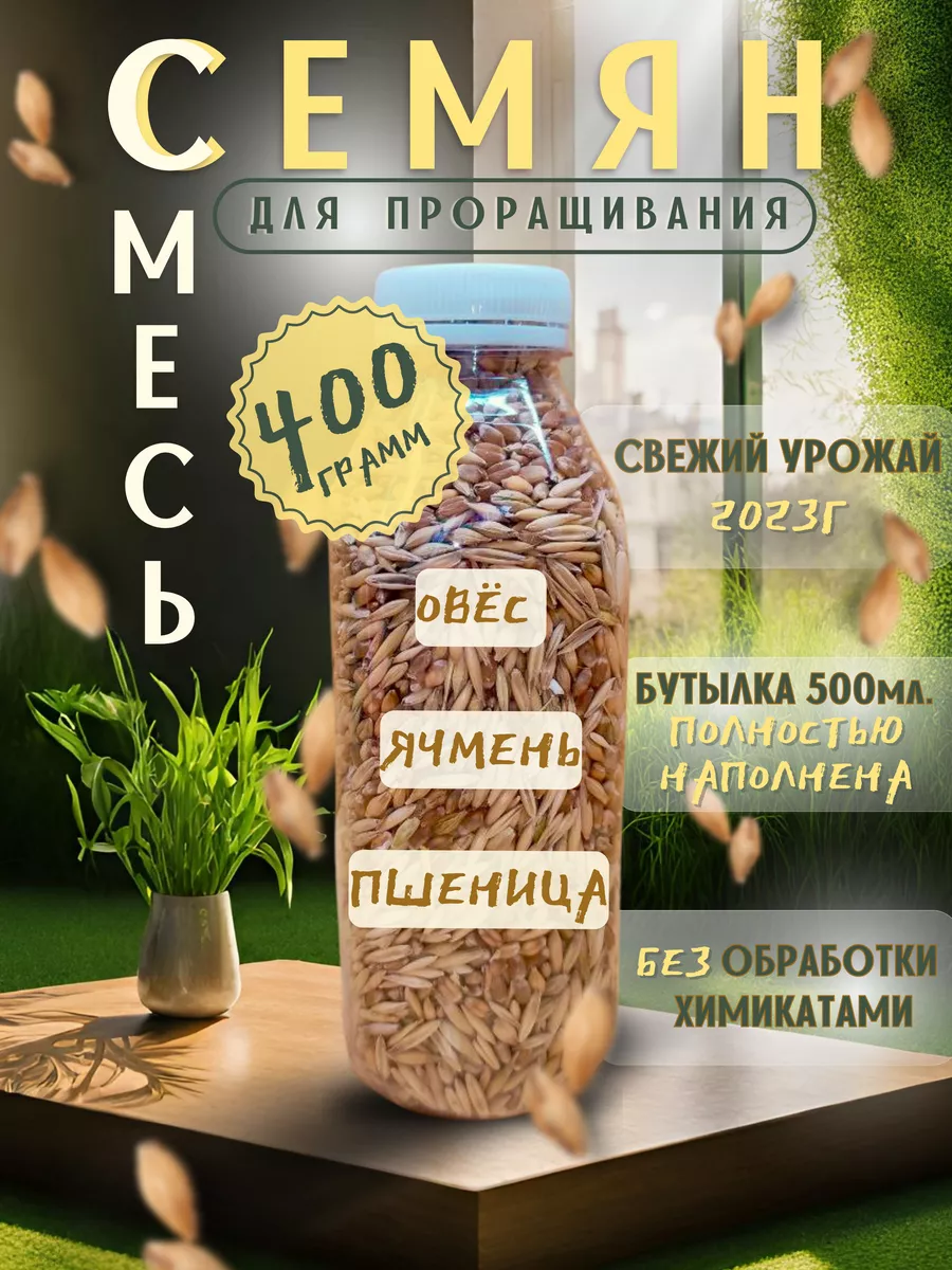 трава для кошек