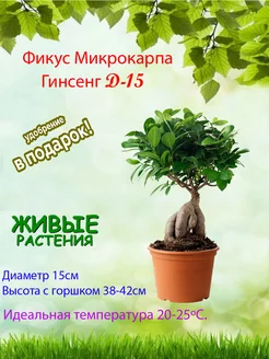 Интернет-магазин Wildberries: широкий ассортимент товаров - скидки каждый день!