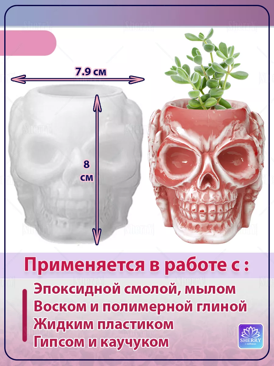 ТРГ – боковой и прямой снимок черепа