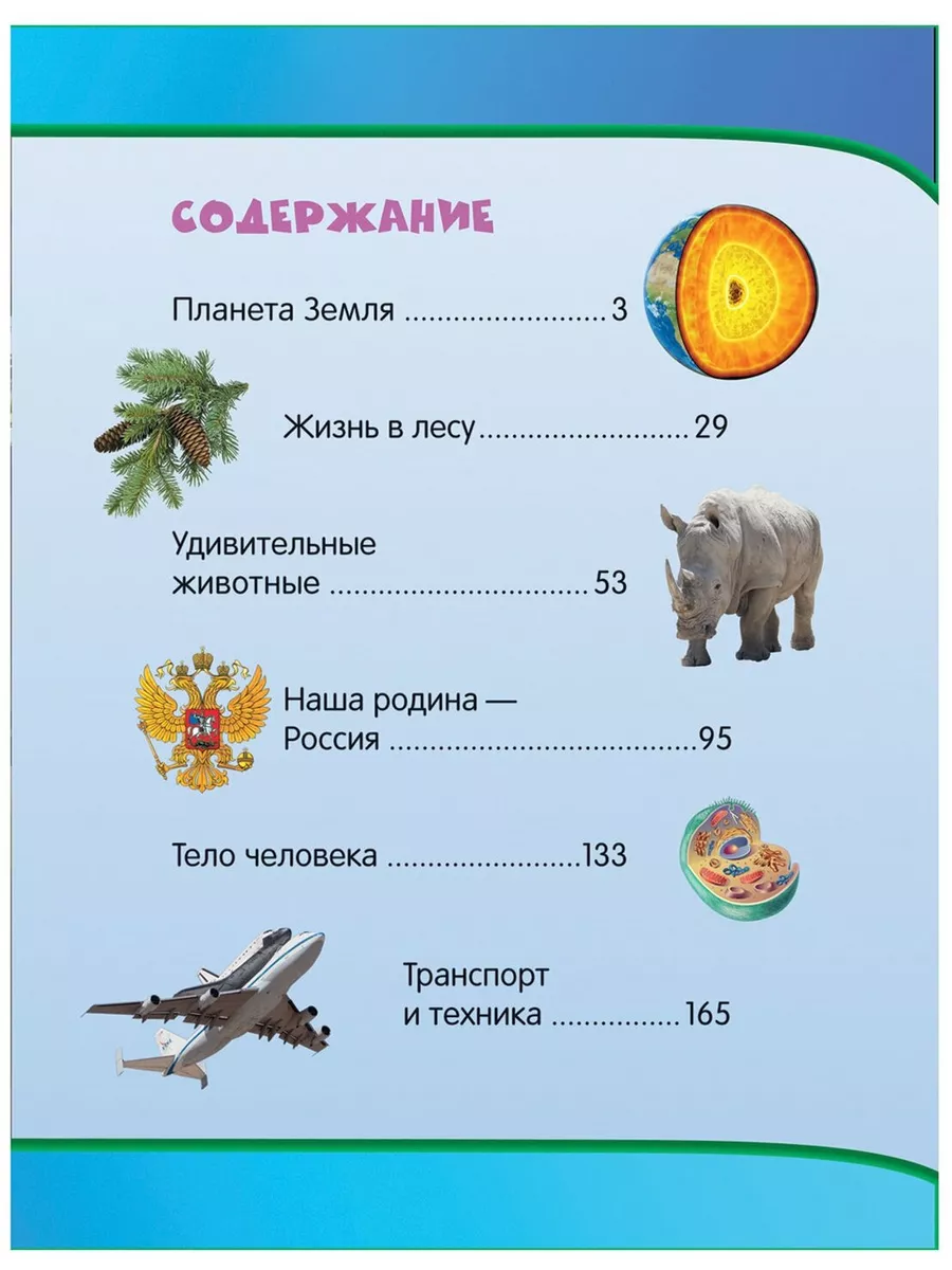 Большая энциклопедия малыша РОСМЭН 188951543 купить за 566 ₽ в  интернет-магазине Wildberries