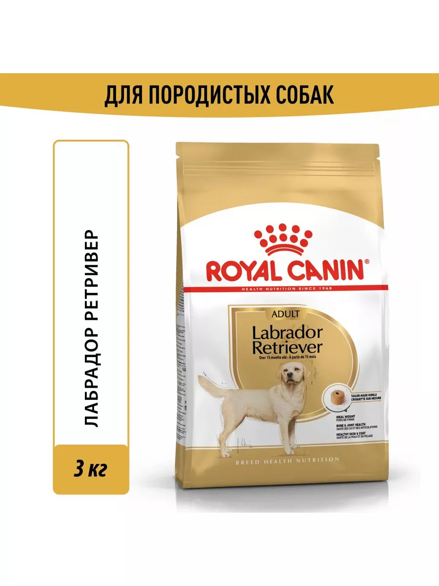 Royal canin 2024 retriever labrador