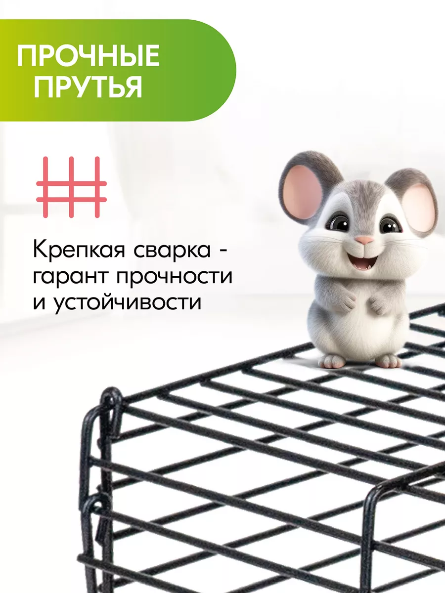 Новое комбо в хомяке 22 августа