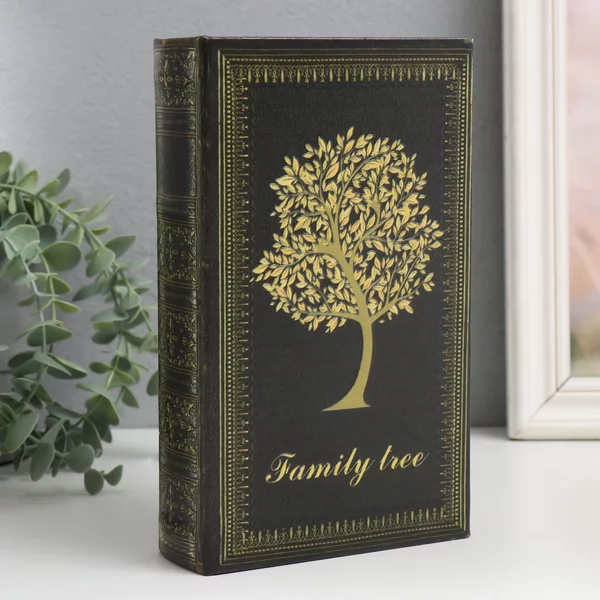 Книга шкатулка для денег