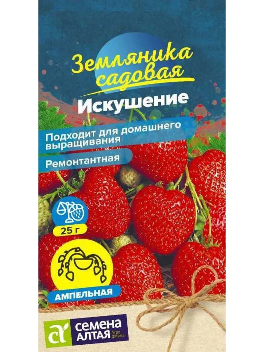 Земляника искушение. Клубника искушение f1. Клубника искушение описание. Земляника ампельная Лоран.