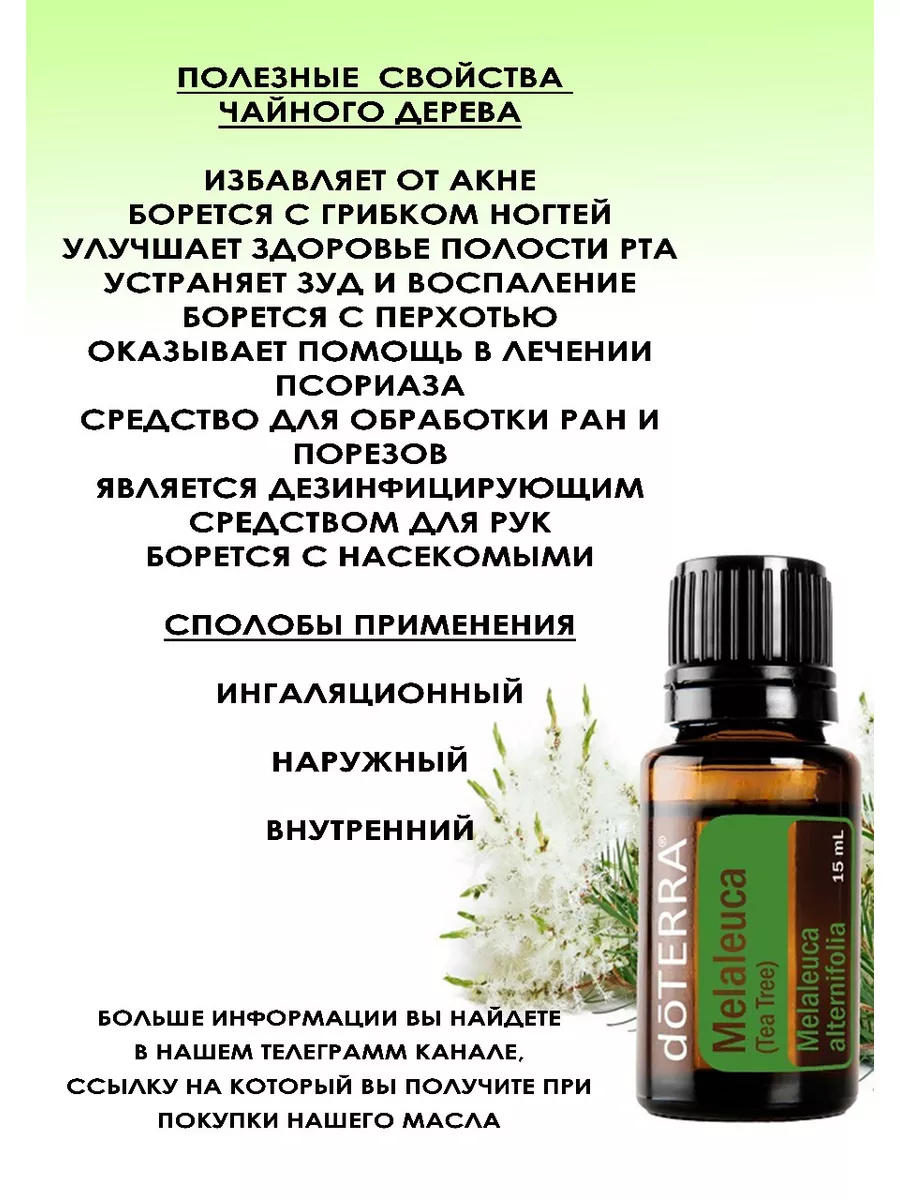 Эфирное масло Чайное дерево, 3мл doTERRA 189364578 купить в  интернет-магазине Wildberries