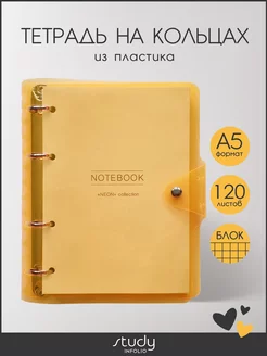 Блочная тетрадь на кольцах А5 пластик Infolio Study 189393633 купить за 423 ₽ в интернет-магазине Wildberries