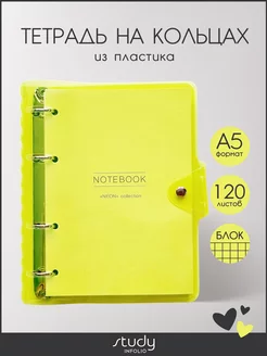 Блочная тетрадь на кольцах А5 пластик Infolio Study 189393634 купить за 547 ₽ в интернет-магазине Wildberries