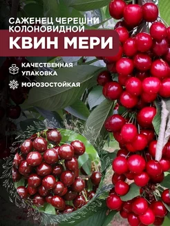 Интернет-магазин Wildberries: широкий ассортимент товаров - скидки каждый день!