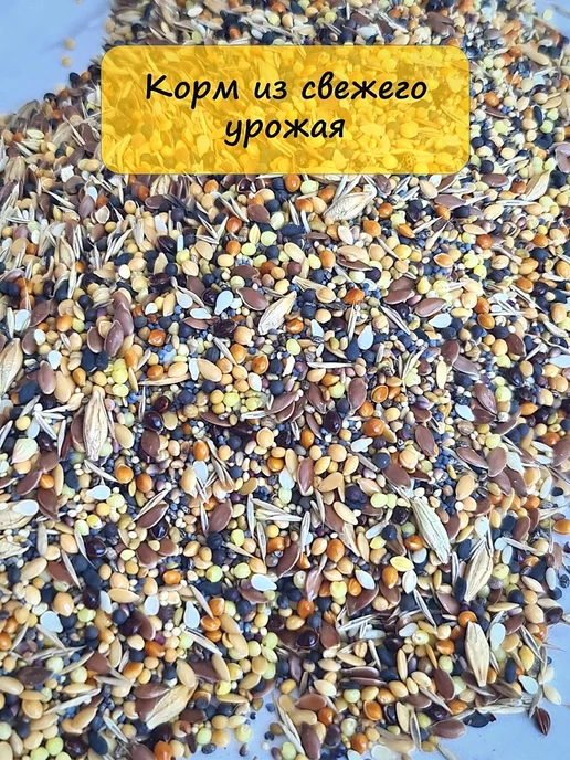 ЛИТ ШОП Корм для муравьев, вариант, фото 4