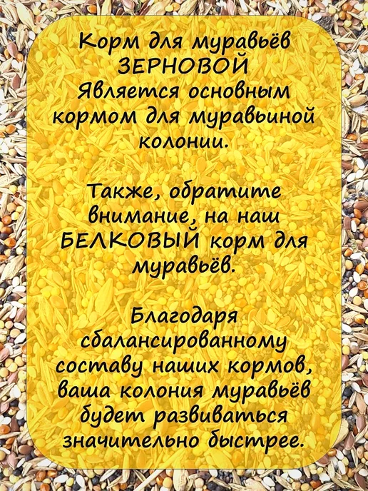 ЛИТ ШОП Корм для муравьев, вариант, фото 6
