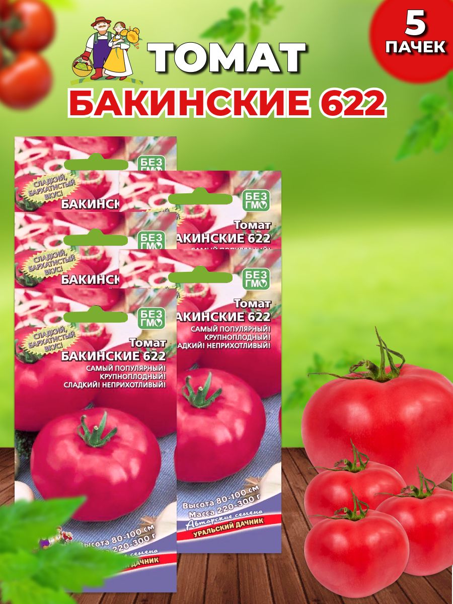 Томат бакинский 622. Томат Бакинские 622. Бакинские томаты семена. Помидоры Дачник. Томат Бакинский 622 отзывы.