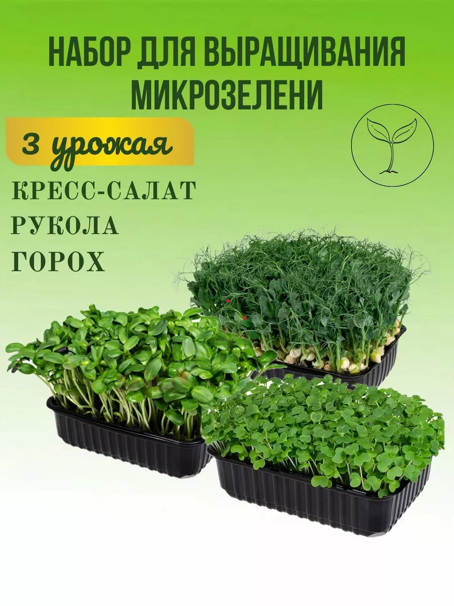 Набор для выращивания Микрозелени Green_vkys74 189504732 купить за 335 ₽ в  интернет-магазине Wildberries