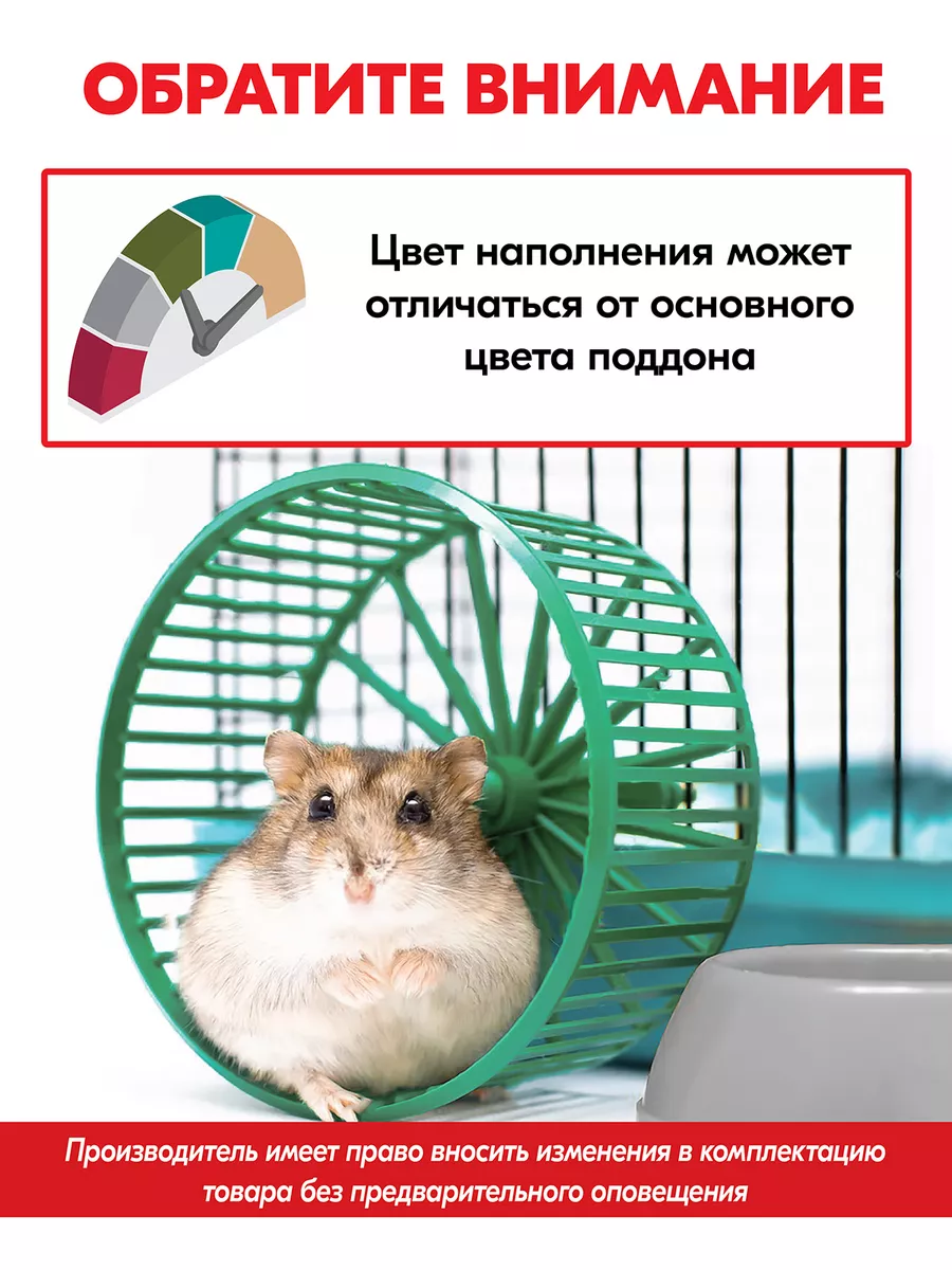 Клетка для крысы со всеми удобствами: пошаговое изготовление из доступных материалов