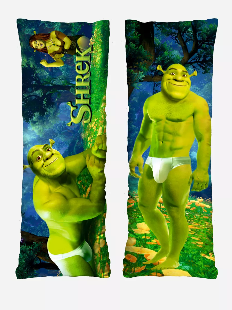 Подушка дакимакура мини Шрек Shrek 60х20 SoBag 189594451 купить за 923 ₽ в  интернет-магазине Wildberries